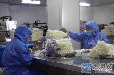 建设50亿级产业集群!郏县倾力打造中部地区知名医用耗材产销地