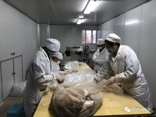 春暖大地,铜仁巾帼着力描绘奋战图