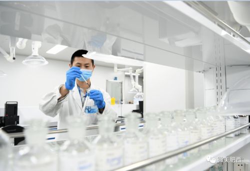 抢抓新机遇 融入长三角 肥西奋力推进生物医药产业高质量发展